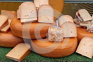 Fresh Dutch Bio Cheese blocks on sale at a farmers market shop