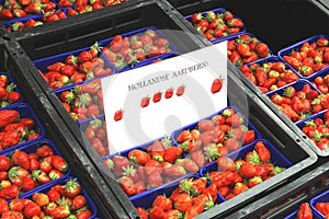 Fresh Dutch strawberries at the greengrocery, Netherlands