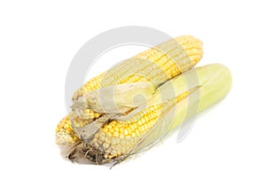 Fresh Ear of Corns isolated on a white