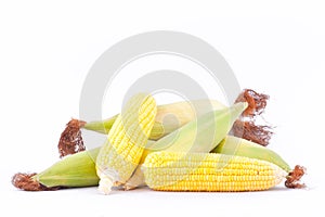 Fresh ear of sweet corn on cobs kernels or grains of ripe corn on white background corn vegetable isolated