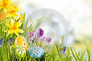 Fresh Easter background in a spring meadow