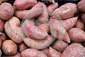 Fresh eco organic Sweet Potatoes for sale