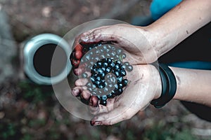 Fresh, ecological and natural blueberries in hands