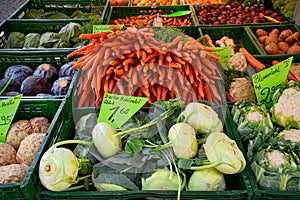 Fresh ecological vegetable stall at farmer\'s market in Germany, turnip, cauliflowers, carrots, cabbages, organic food