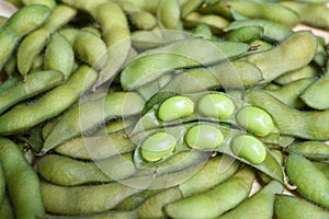 fresh edamame beans