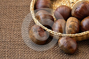 Fresh edible chestnuts
