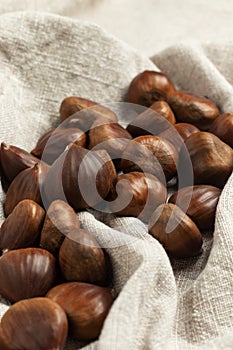 Fresh edible chestnuts.