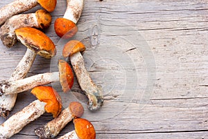 Fresh Edible wild Mushrooms orange-cap Boletus (Leccinum aurantiacum) On the Old Grey Wooden Background