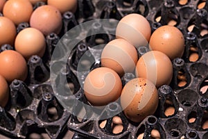 Fresh egg food ingredient in the package on table