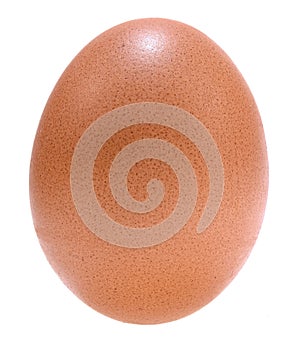 Fresh egg isolated on white background