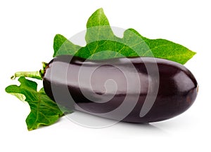 Fresh egg-plant fruit with green leaf