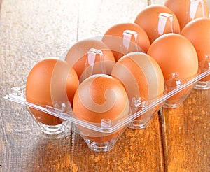 Fresh egg on plastic tray