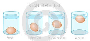 Fresh egg test. Finding daily fresh eggs, weekly old and stale eggs with the flotation and sinking experiment. Freshness