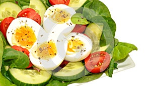 Fresh Egg And Tomato Salad Bowl