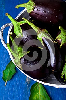 Fresh eggplant in grey basket on blue wooden table.Rustic background. Top view. Copy space. Vegan vegetable.