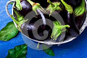 Fresh eggplant in grey basket on blue wooden table.Rustic background. Top view. Copy space. Vegan vegetable.