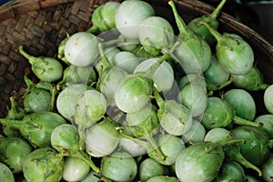 fresh eggplant in the market.