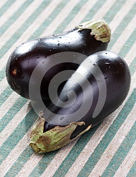 Fresh eggplants