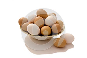 Fresh Eggs