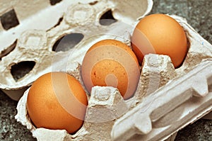 Fresh eggs