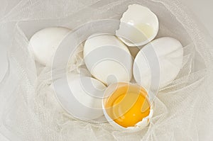 Fresh eggs