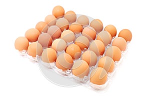 Fresh eggs