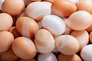 Fresh eggs as background, top view