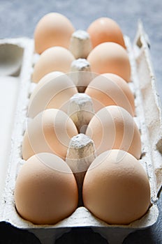 Fresh Eggs background