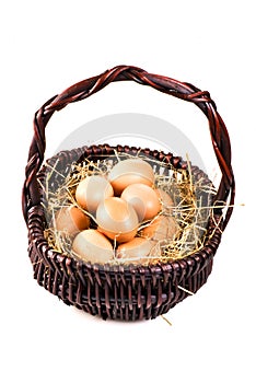 Fresh eggs in the basket