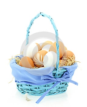 Fresh eggs in the basket