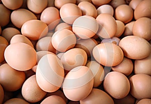 Fresh eggs on basket