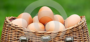Fresh eggs in a basket, healthy breakfast banner