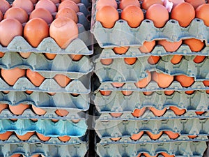 Fresh Eggs in Cardboard Crates at Market Stall