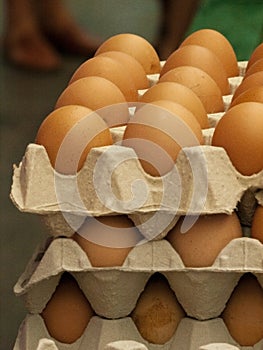 Fresh eggs in a cardboard pac detail 2