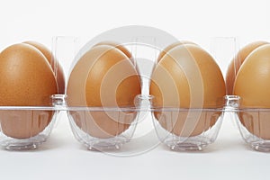 Fresh eggs in clear plastic tray