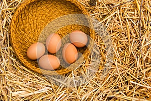Fresh eggs from the farm in the basket on straw surface