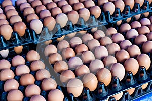 Fresh eggs from farm at wholesale market