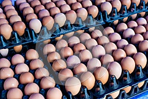 Fresh eggs from farm at wholesale market photo