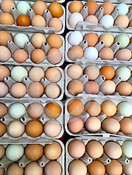 Fresh eggs at farmers market