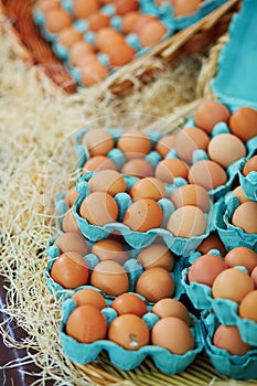 Fresh eggs on farmers market