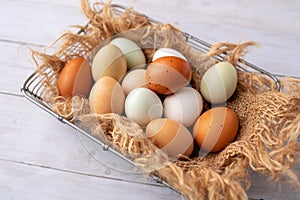 Fresh eggs from free range chickens on a small farm, beautiful colorful eggs from different breeds of chickens