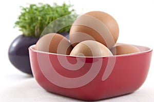 Fresh eggs with fresh cress on white