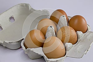 Fresh eggs in grey egg box,on white background, set of six photo