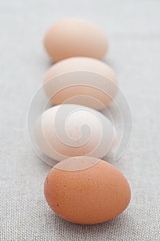 Fresh eggs in a line