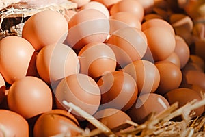 Fresh eggs at the market.