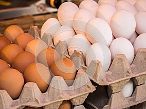 Fresh Eggs on the market
