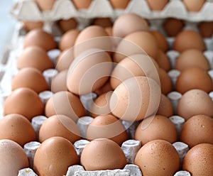 Fresh eggs at the market.