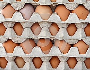 Fresh eggs at the market.