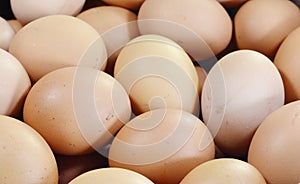 Fresh eggs at the market.