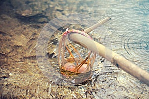 Fresh eggs in one basket Soak in the hot springs